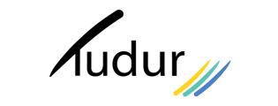 Tudur_logo-3a2b3a7e.jpg